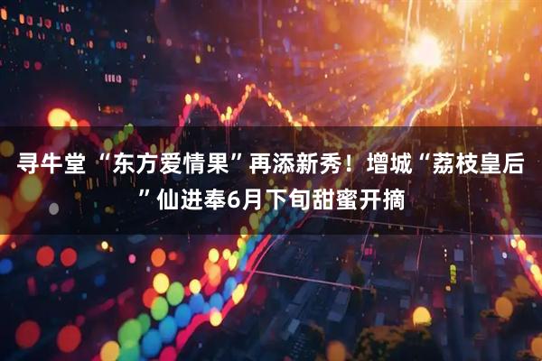 寻牛堂 “东方爱情果”再添新秀！增城“荔枝皇后”仙进奉6月下旬甜蜜开摘