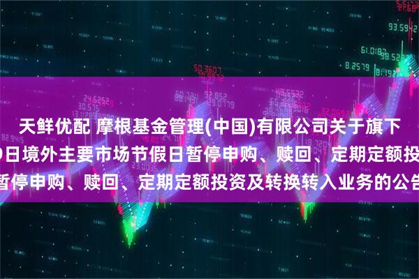 天鲜优配 摩根基金管理(中国)有限公司关于旗下部分基金2025年6月19日境外主要市场节假日暂停申购、赎回、定期定额投资及转换转入业务的公告