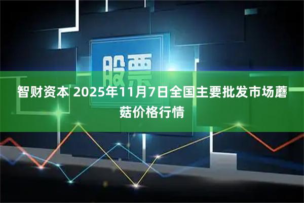 智财资本 2025年11月7日全国主要批发市场蘑菇价格行情