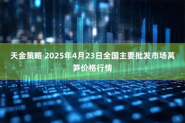 天金策略 2025年4月23日全国主要批发市场莴笋价格行情